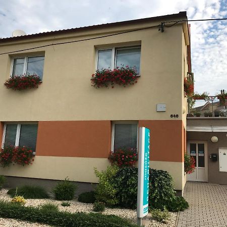 Apartment Corriger Ústí nad Orlicí Kültér fotó
