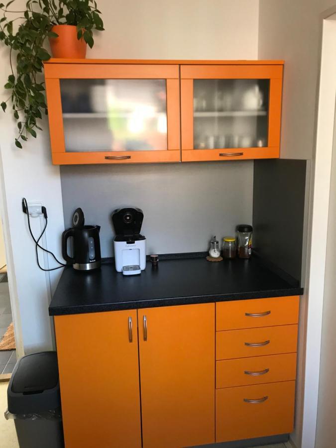 Apartment Corriger Ústí nad Orlicí Kültér fotó