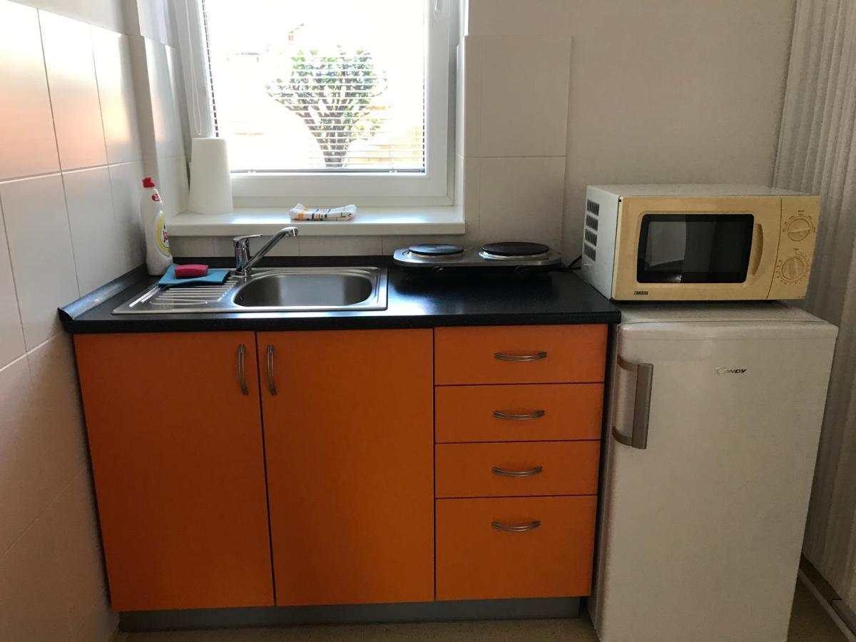 Apartment Corriger Ústí nad Orlicí Kültér fotó